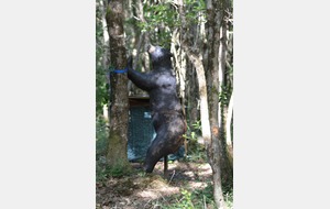 Résultat de notre 3D