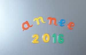 Assemblée Générale 2016