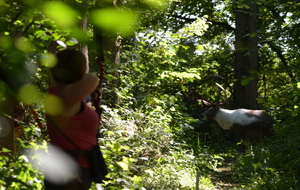 Pré-Chairmartin (28 mars 2020)