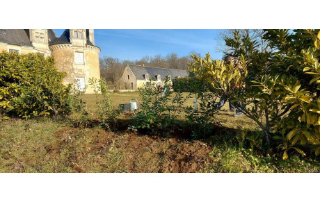 Plantation haie