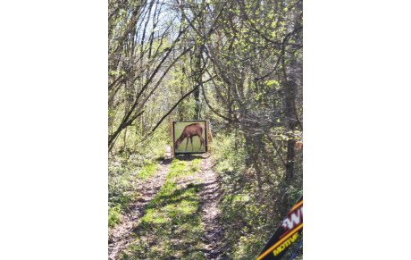 Concours Nature le 15 mars